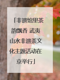 非遗馆里茶韵飘香 武夷山水非遗茶文化主题活动在京举行