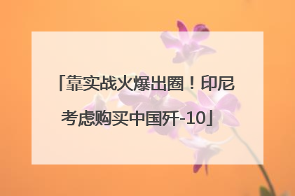 靠实战火爆出圈！印尼考虑购买中国歼-10