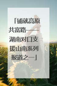 铺就高原共富路——湖南对口支援山南系列报道之一
