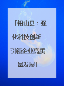 铅山县：强化科技创新 引领企业高质量发展