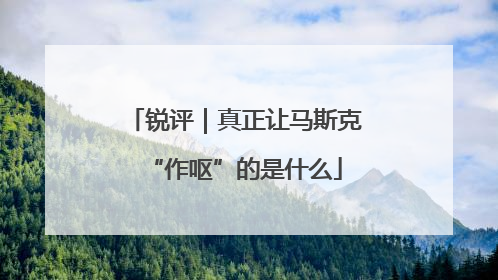 锐评｜真正让马斯克“作呕”的是什么