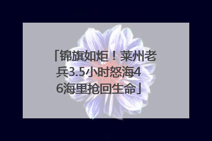 锦旗如炬！莱州老兵3.5小时怒海46海里抢回生命