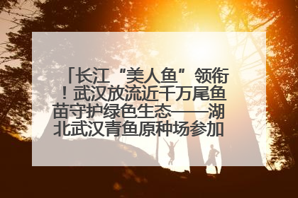 长江“美人鱼”领衔！武汉放流近千万尾鱼苗守护绿色生态——湖北武汉青鱼原种场参加2025年“全国放鱼日”增殖放流活动