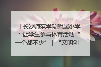 长沙师范学院附属小学：让学生参与体育活动“一个都不少”｜“文明创建耀三湘”专栏