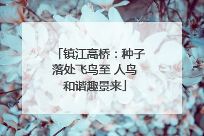镇江高桥：种子落处飞鸟至 人鸟和谐趣景来