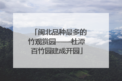 闽北品种最多的竹观赏园——杜潭百竹园建成开园