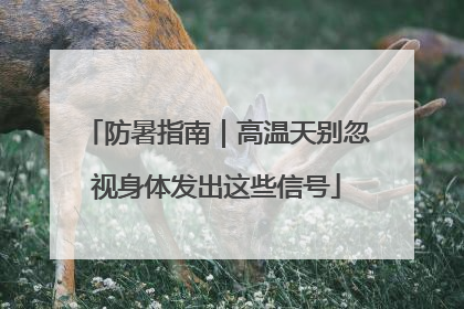防暑指南｜高温天别忽视身体发出这些信号