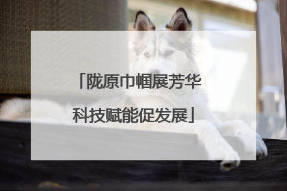 陇原巾帼展芳华 科技赋能促发展