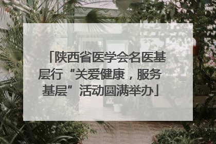 陕西省医学会名医基层行“关爱健康，服务基层”活动圆满举办