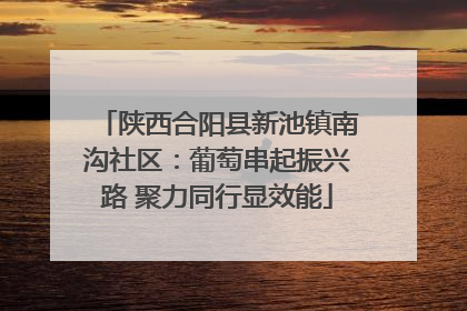 陕西合阳县新池镇南沟社区：葡萄串起振兴路 聚力同行显效能