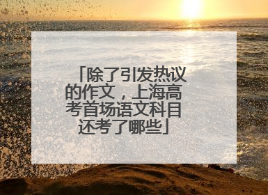 除了引发热议的作文，上海高考首场语文科目还考了哪些