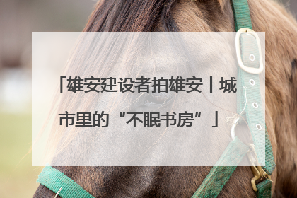 雄安建设者拍雄安丨城市里的“不眠书房”