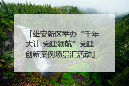 雄安新区举办“千年大计 党建领航”党建创新案例场景汇活动