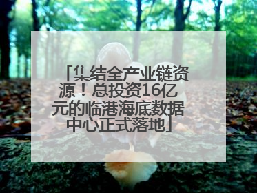 集结全产业链资源！总投资16亿元的临港海底数据中心正式落地