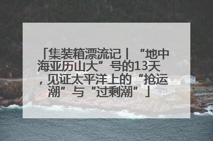 集装箱漂流记丨“地中海亚历山大”号的13天，见证太平洋上的“抢运潮”与“过剩潮”