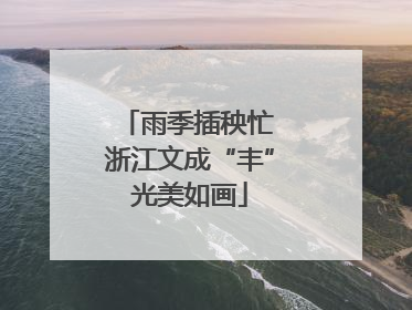 雨季插秧忙 浙江文成“丰”光美如画