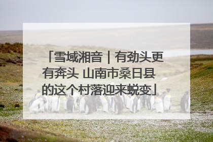 雪域湘音｜有劲头更有奔头 山南市桑日县的这个村落迎来蜕变