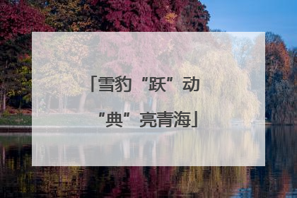 雪豹“跃”动 “典”亮青海