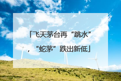 飞天茅台再“跳水”，“蛇茅”跌出新低