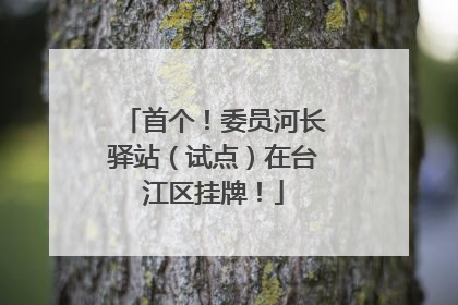 首个！委员河长驿站（试点）在台江区挂牌！