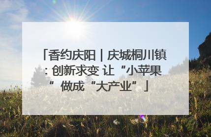 香约庆阳｜庆城桐川镇：创新求变 让“小苹果”做成“大产业”