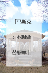 马斯克：不想做替罪羊