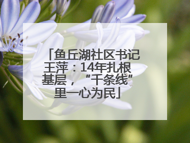 鱼丘湖社区书记王萍：14年扎根基层，“千条线”里一心为民