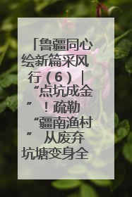 鲁疆同心绘新篇采风行（6）｜“点坑成金”！疏勒 “疆南渔村” 从废弃坑塘变身全国垂钓胜地