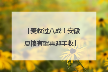 麦收过八成！安徽夏粮有望再迎丰收