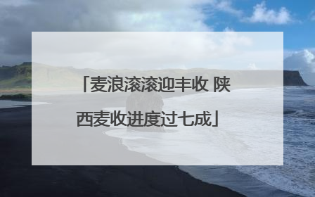 麦浪滚滚迎丰收 陕西麦收进度过七成