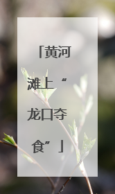 黄河滩上“龙口夺食”