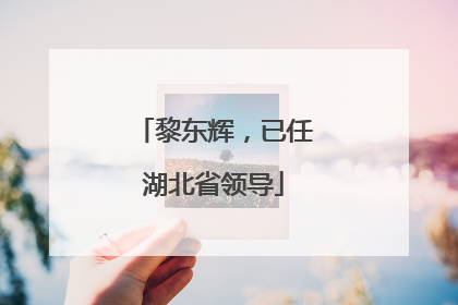 黎东辉，已任湖北省领导