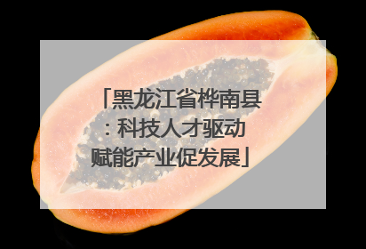 黑龙江省桦南县：科技人才驱动 赋能产业促发展