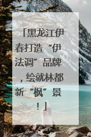 黑龙江伊春打造“伊法调”品牌，绘就林都新“枫”景！