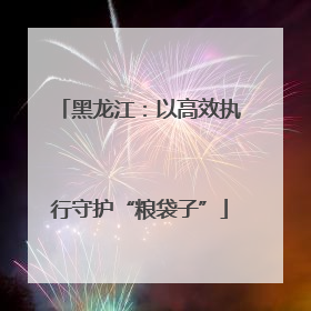 黑龙江：以高效执行守护“粮袋子”