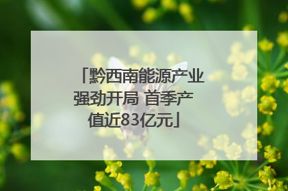 黔西南能源产业强劲开局 首季产值近83亿元