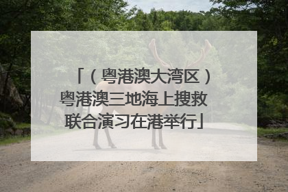 （粤港澳大湾区）粤港澳三地海上搜救联合演习在港举行