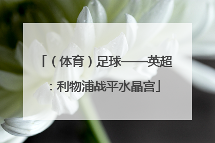 （体育）足球——英超：利物浦战平水晶宫