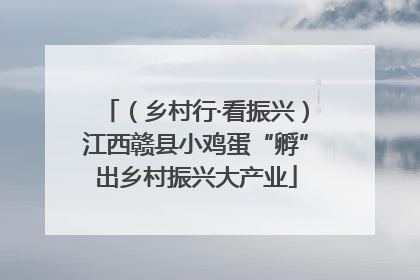（乡村行·看振兴）江西赣县小鸡蛋“孵”出乡村振兴大产业