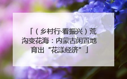 （乡村行·看振兴）荒沟变花海：内蒙古闲置地育出“花漾经济”