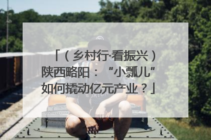 （乡村行·看振兴）陕西略阳：“小瓢儿”如何撬动亿元产业？
