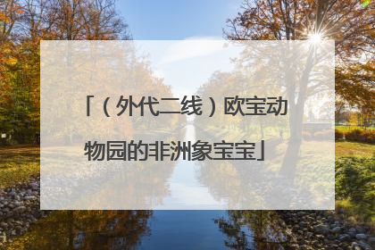 （外代二线）欧宝动物园的非洲象宝宝