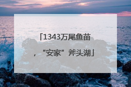 1343万尾鱼苗，“安家”斧头湖