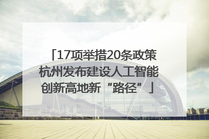 17项举措20条政策 杭州发布建设人工智能创新高地新“路径”