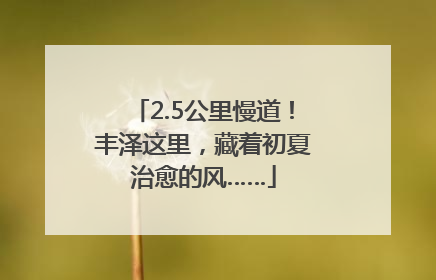2.5公里慢道！丰泽这里，藏着初夏治愈的风……