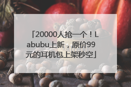 20000人抢一个！Labubu上新，原价99元的耳机包上架秒空