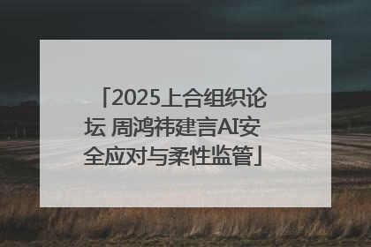 2025上合组织论坛 周鸿祎建言AI安全应对与柔性监管