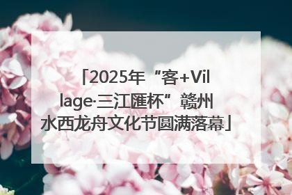 2025年“客+Village·三江匯杯”赣州水西龙舟文化节圆满落幕