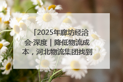 2025年廊坊经洽会·深度｜降低物流成本，河北物流集团找到一把“金钥匙”