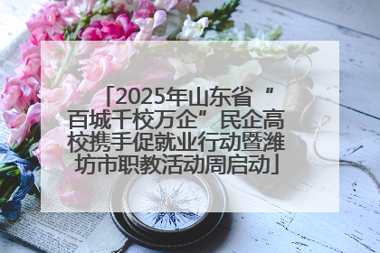 2025年山东省“百城千校万企”民企高校携手促就业行动暨潍坊市职教活动周启动